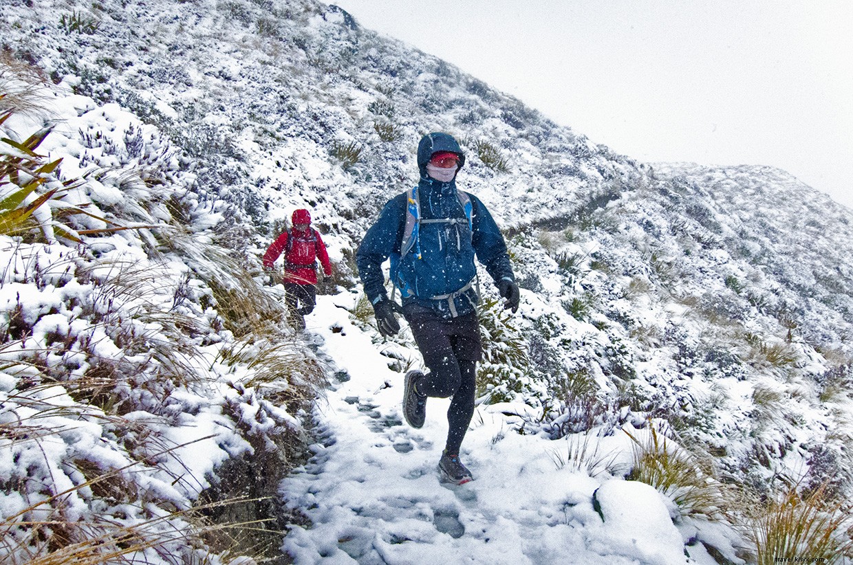 Survival on the Heaphy Track: A New Zealand Thriller