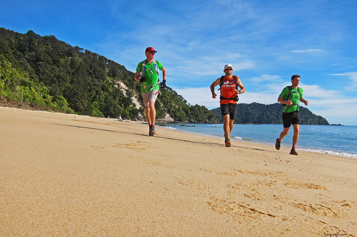 Survival on the Heaphy Track: A New Zealand Thriller