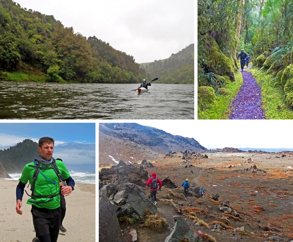 Survival on the Heaphy Track: A New Zealand Thriller