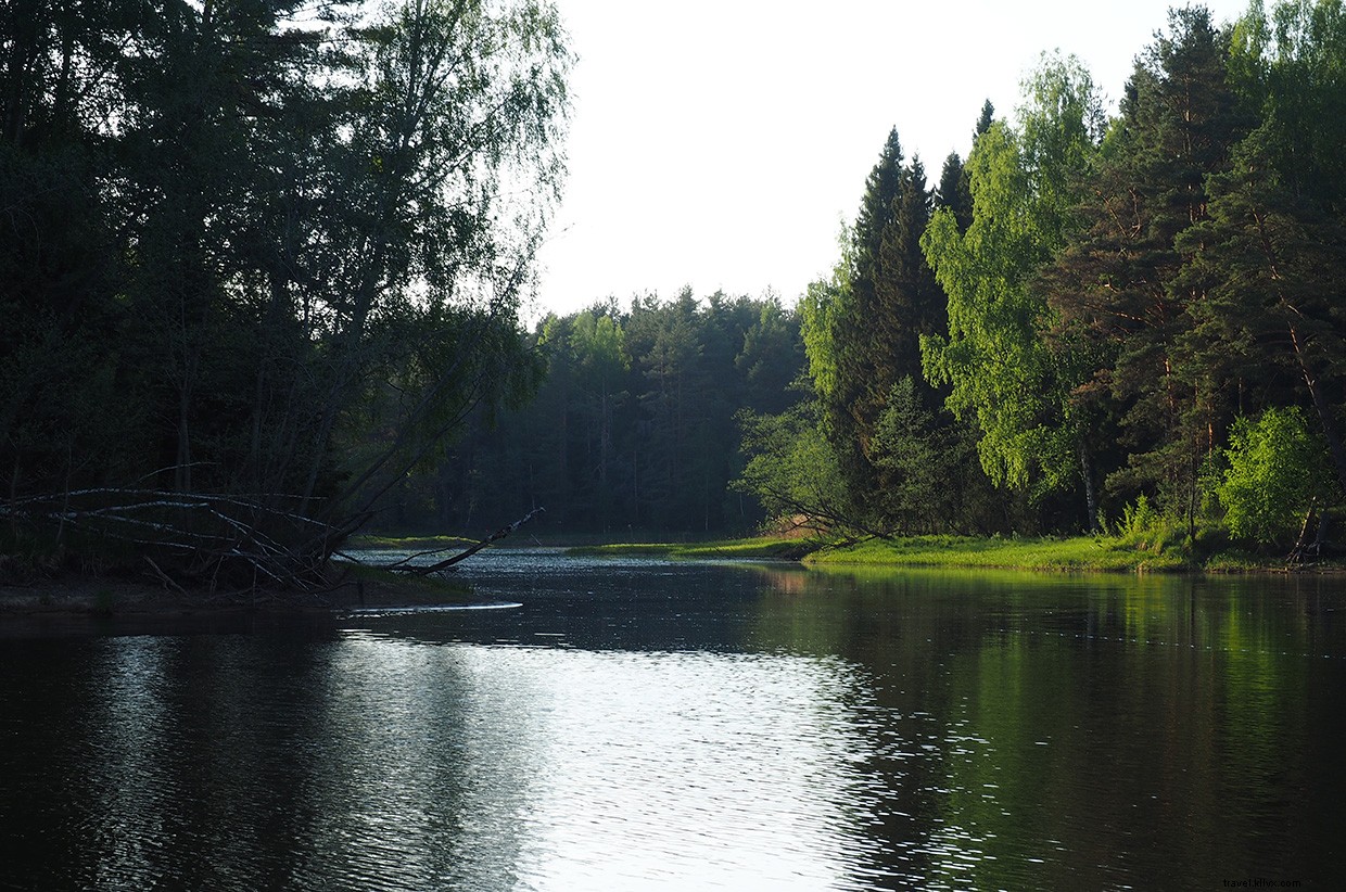 Volga Summer: A Thrilling Escape Along Russia s Iconic River