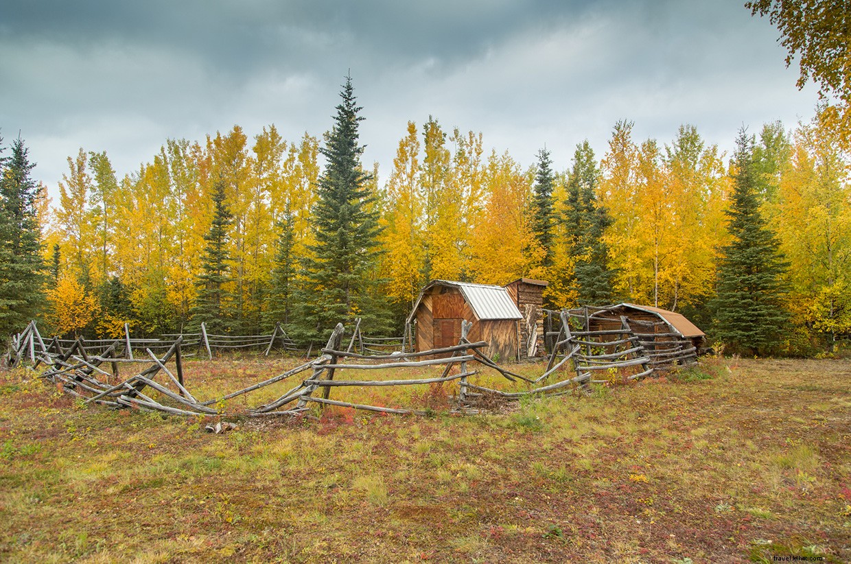Backpedaling Through the Wrangell Volcanoes: An Autumn Mountain Expedition