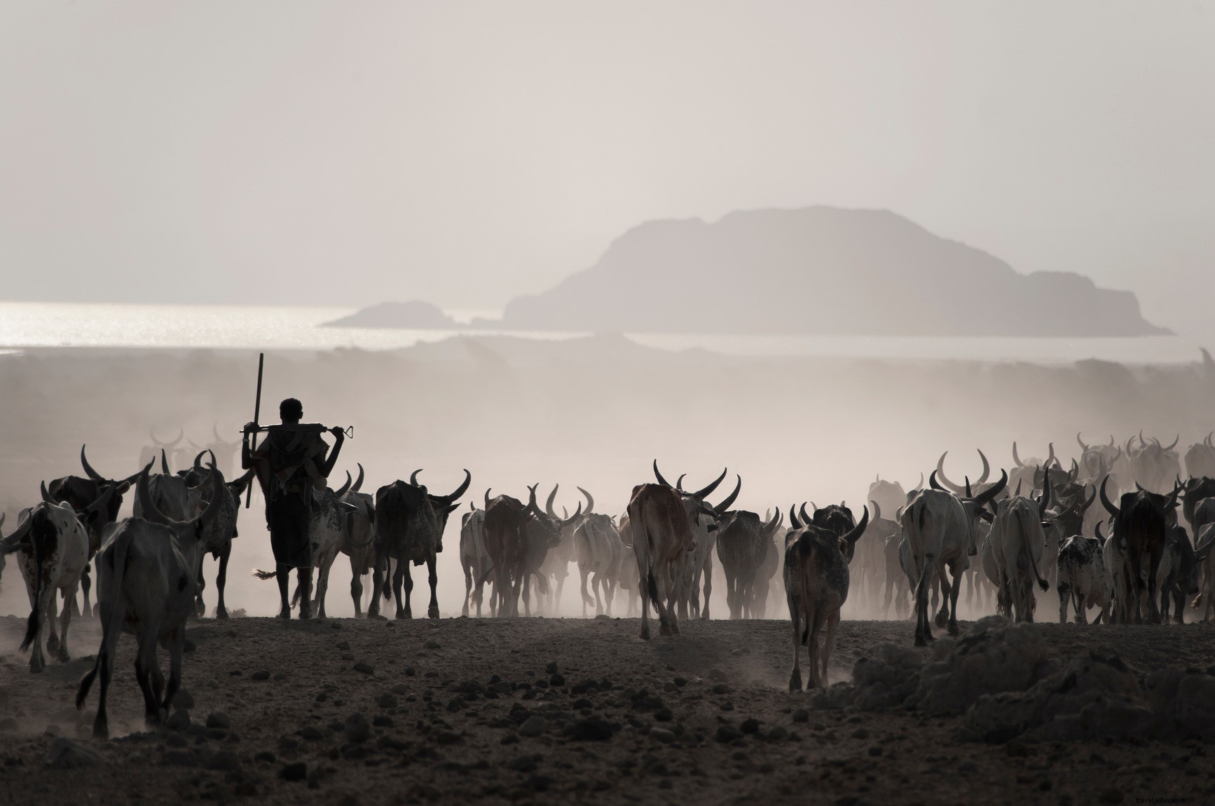 Life Among the Afar: Journey Through the Danakil Desert