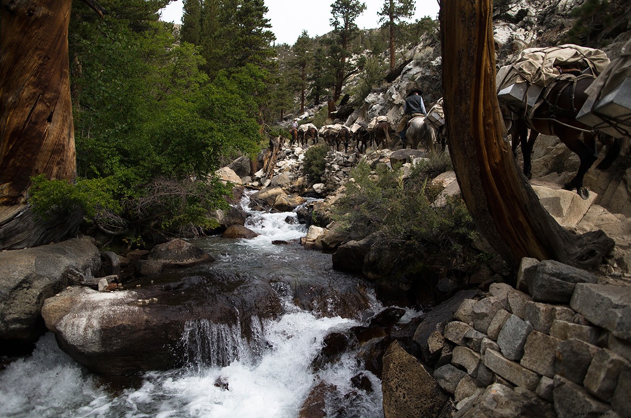 Sky Walking in the High Sierras: Mastering Thunderbolt Peak s Alpine Highline