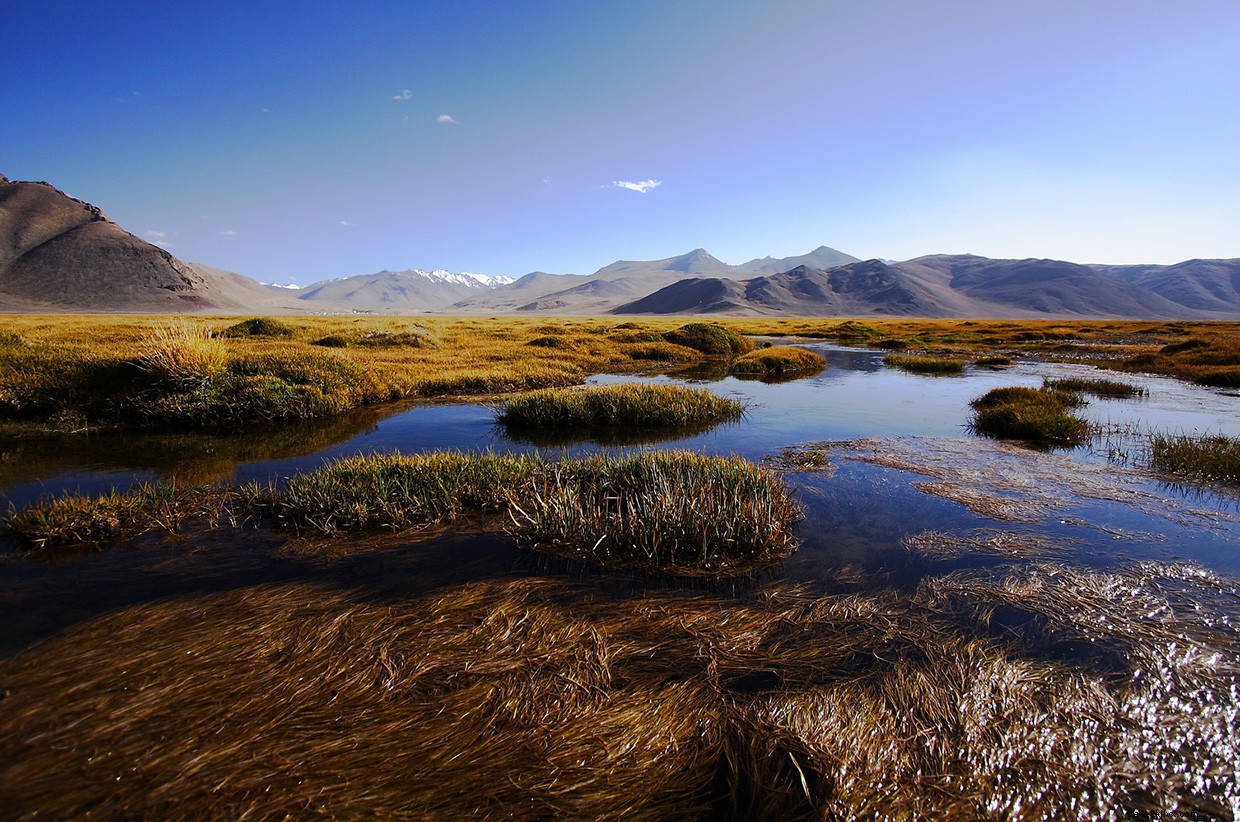 The Hunter Orozbek: A Portrait of Wilderness and Renewal