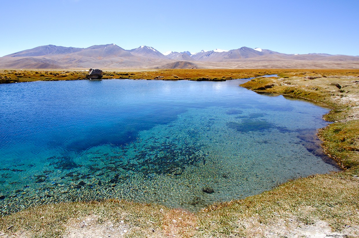 The Hunter Orozbek: A Portrait of Wilderness and Renewal