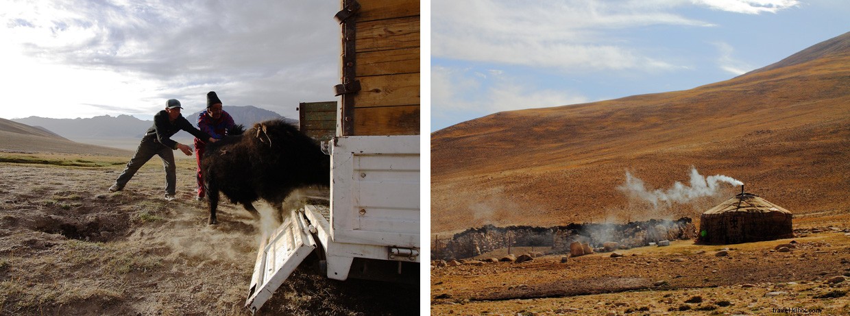 The Hunter Orozbek: A Portrait of Wilderness and Renewal