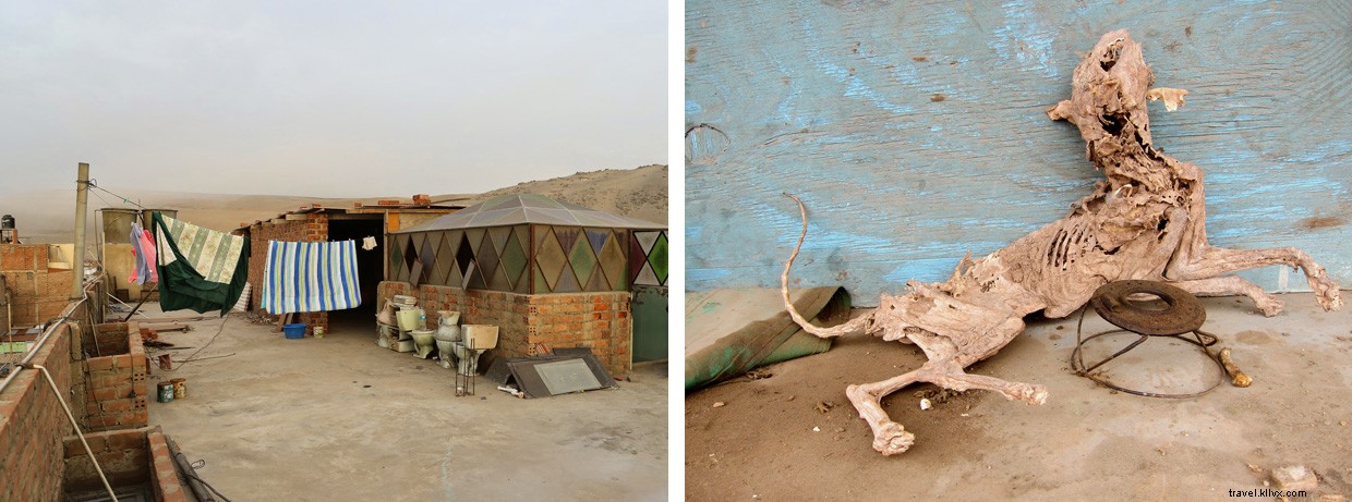 The Peruvian Grind: Surviving the Desert s Grit