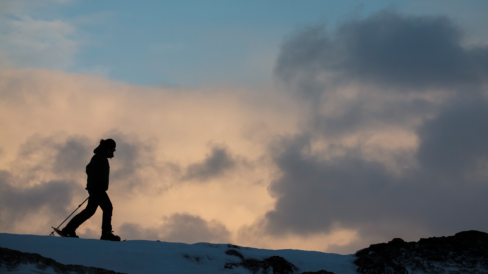 Ben & Tarka Break World Record in 1,795-Mile Antarctic Polar Trek
