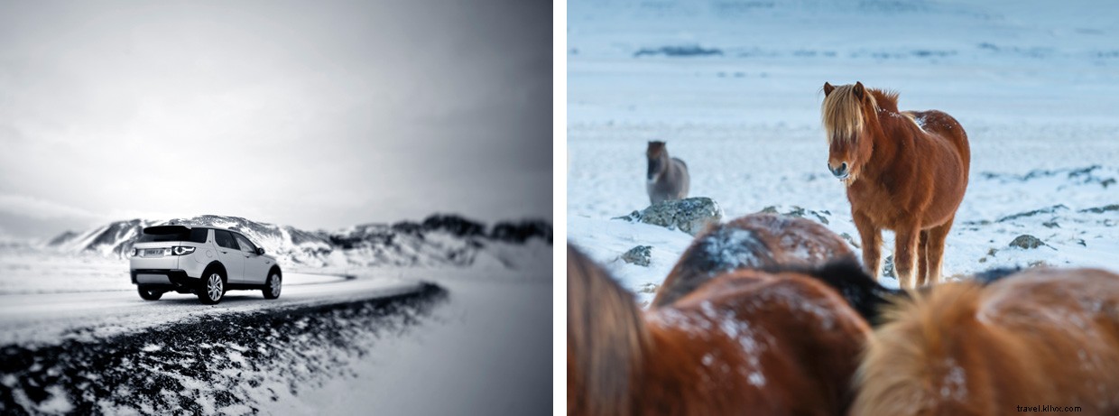 Ben & Tarka Break World Record in 1,795-Mile Antarctic Polar Trek