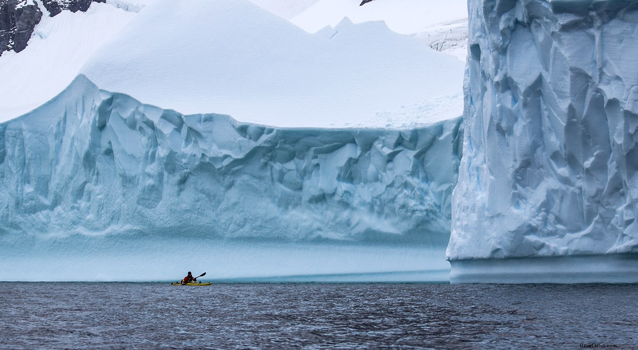 Wild Connections: An Intense Kayaking Survival Story