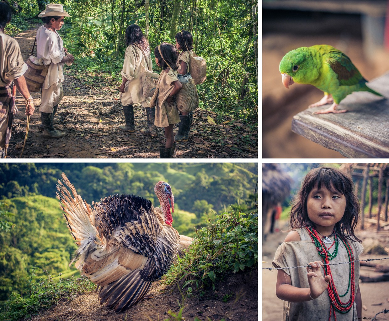 Discovering Teyuna: Colombia s Sacred Lost City in Sierra Nevada