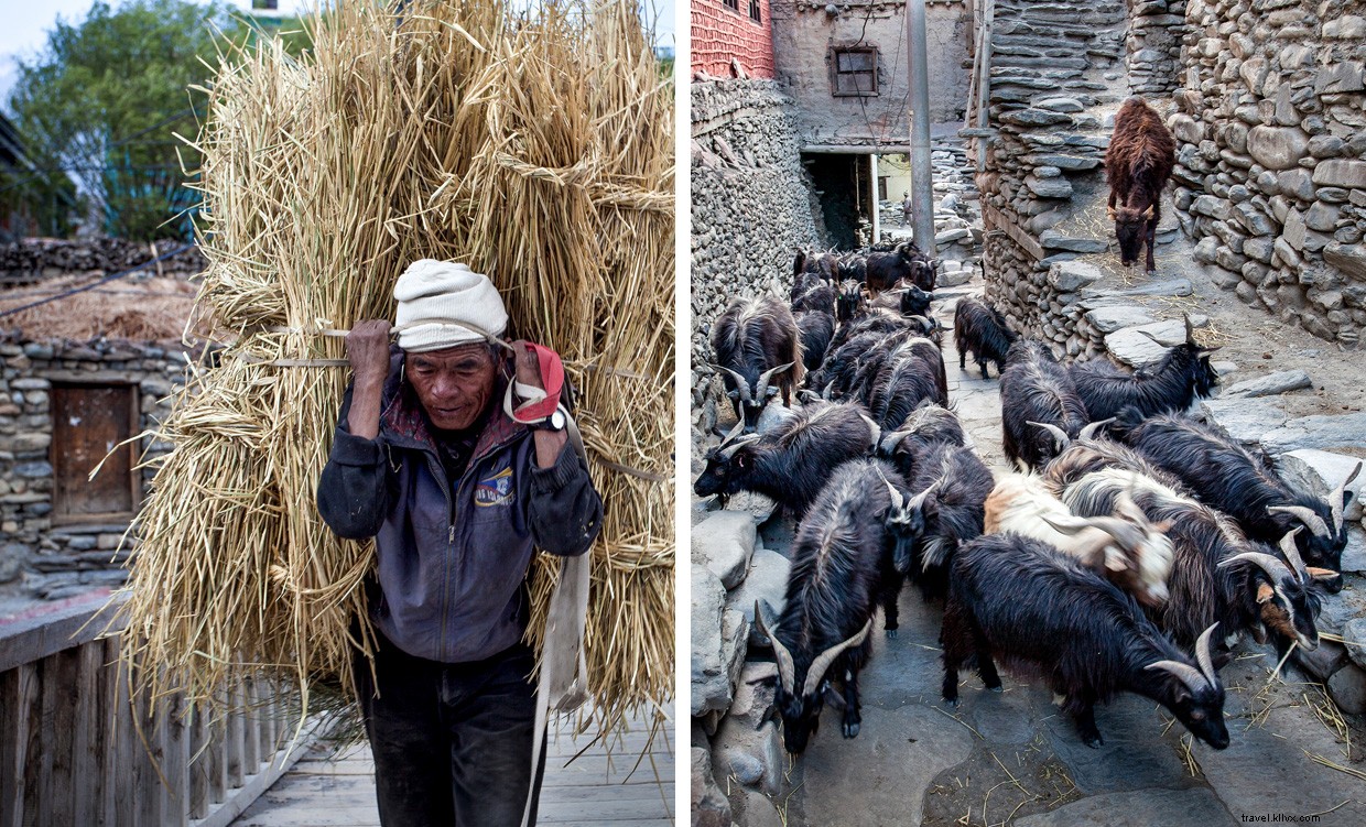 Remembering Amanda: A Journey Through Love, Loss, and Hope