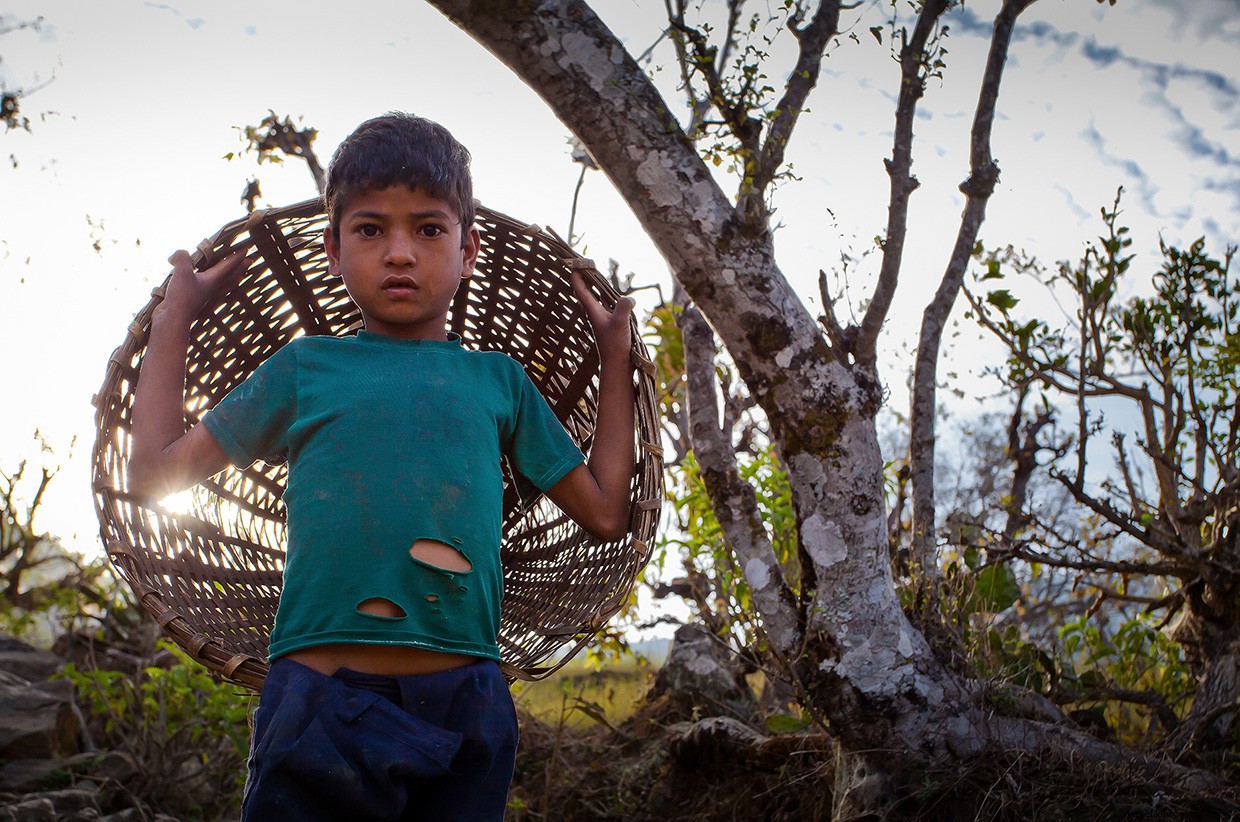 Remembering Amanda: A Journey Through Love, Loss, and Hope