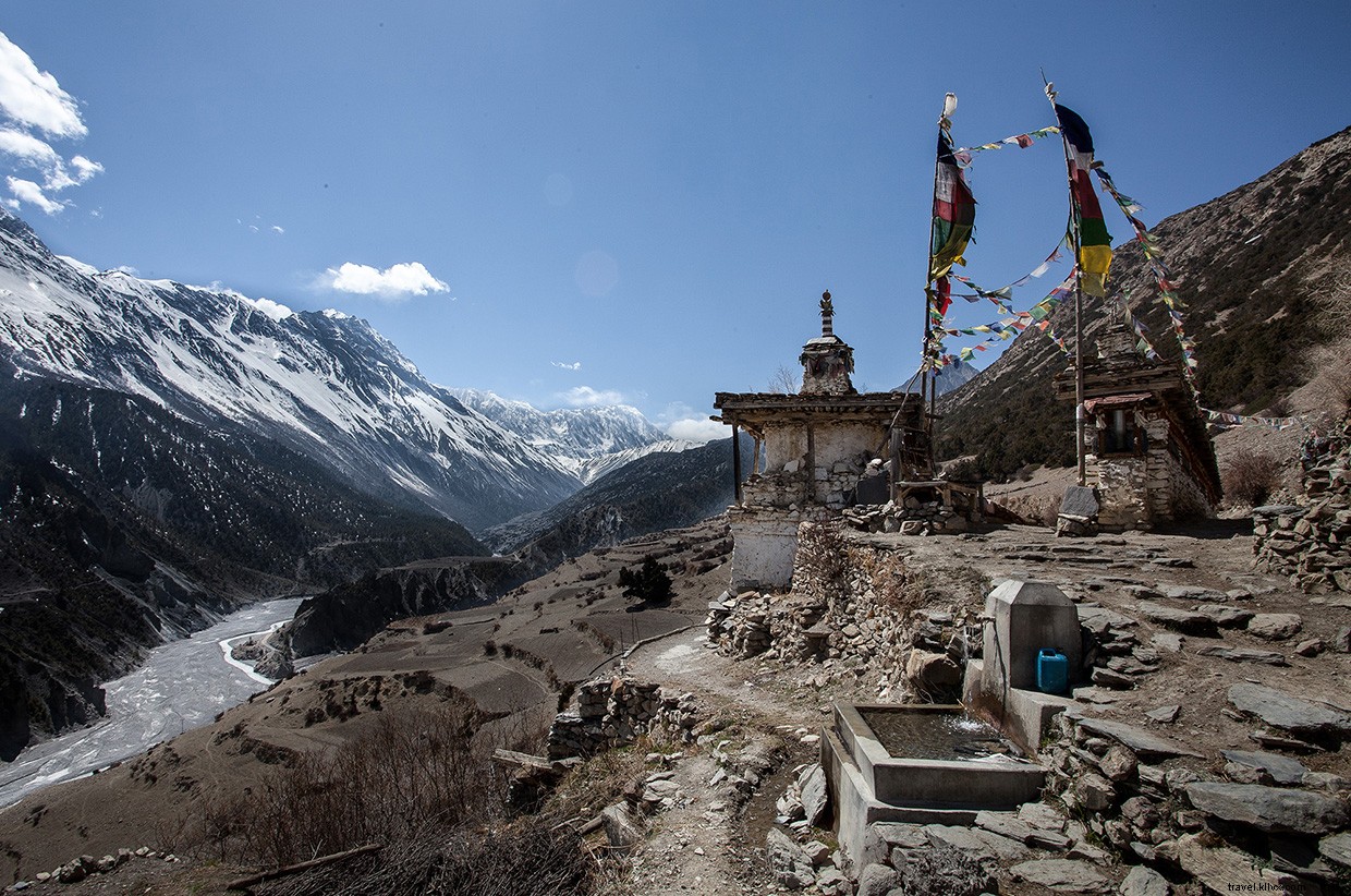 Remembering Amanda: A Journey Through Love, Loss, and Hope