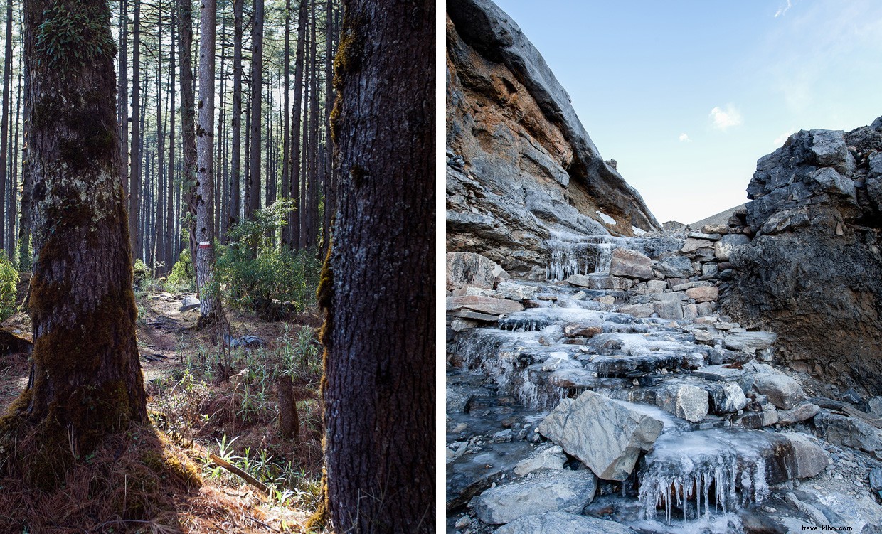 Remembering Amanda: A Journey Through Love, Loss, and Hope