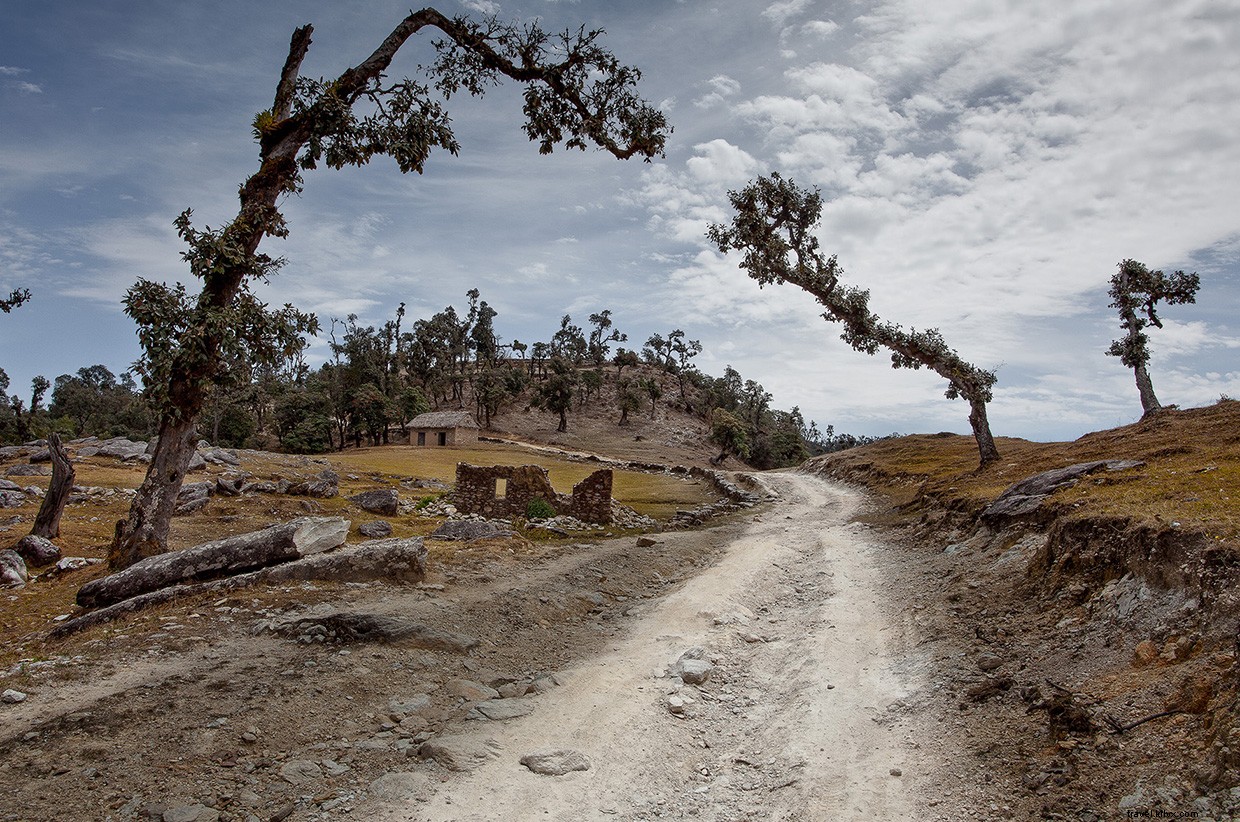 Remembering Amanda: A Journey Through Love, Loss, and Hope