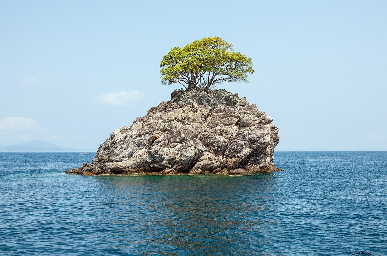 Discovering Mantas and Moken: An Immersive Dive Experience