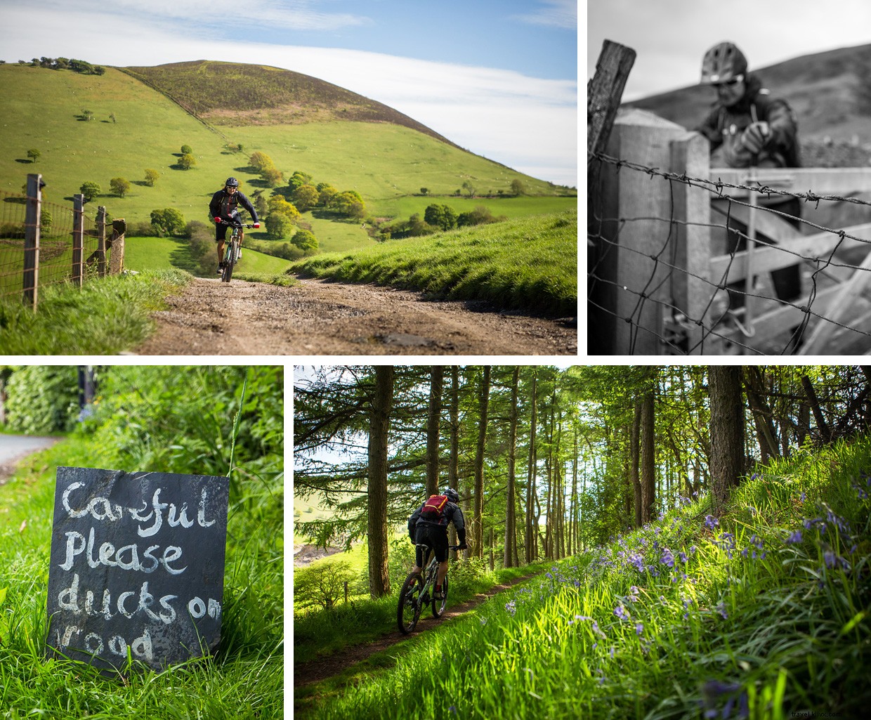 Exploring Wales on a Mountain Bike: A Journey of Discovery