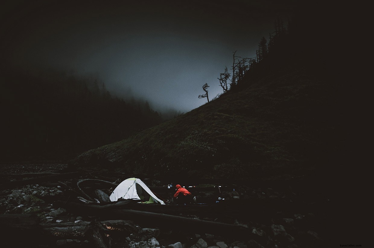 Nurturing Strong Foundations: The Power of Deeper Roots