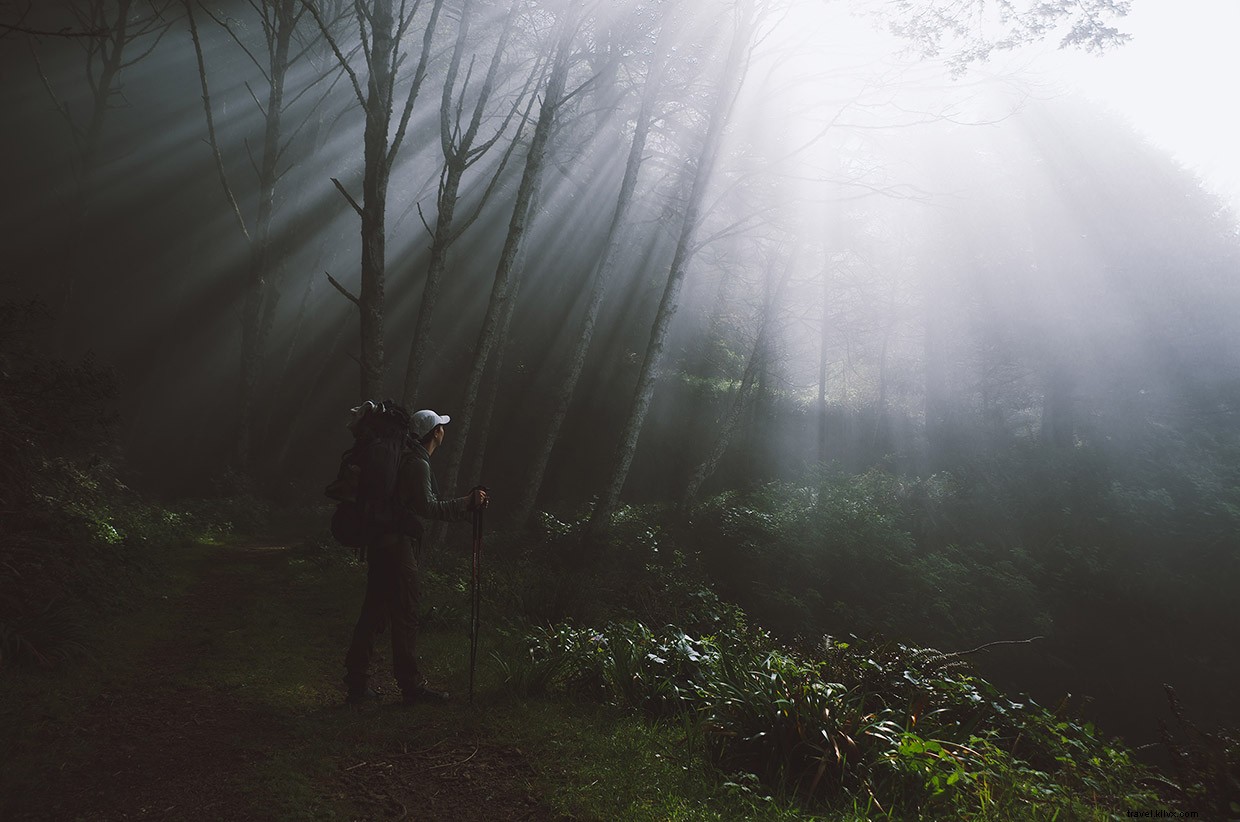 Nurturing Strong Foundations: The Power of Deeper Roots