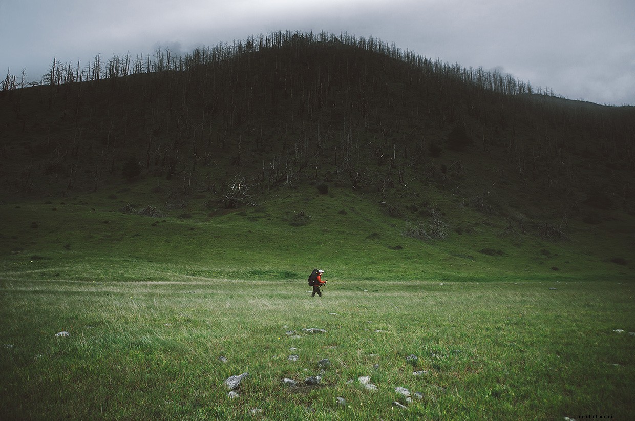 Nurturing Strong Foundations: The Power of Deeper Roots