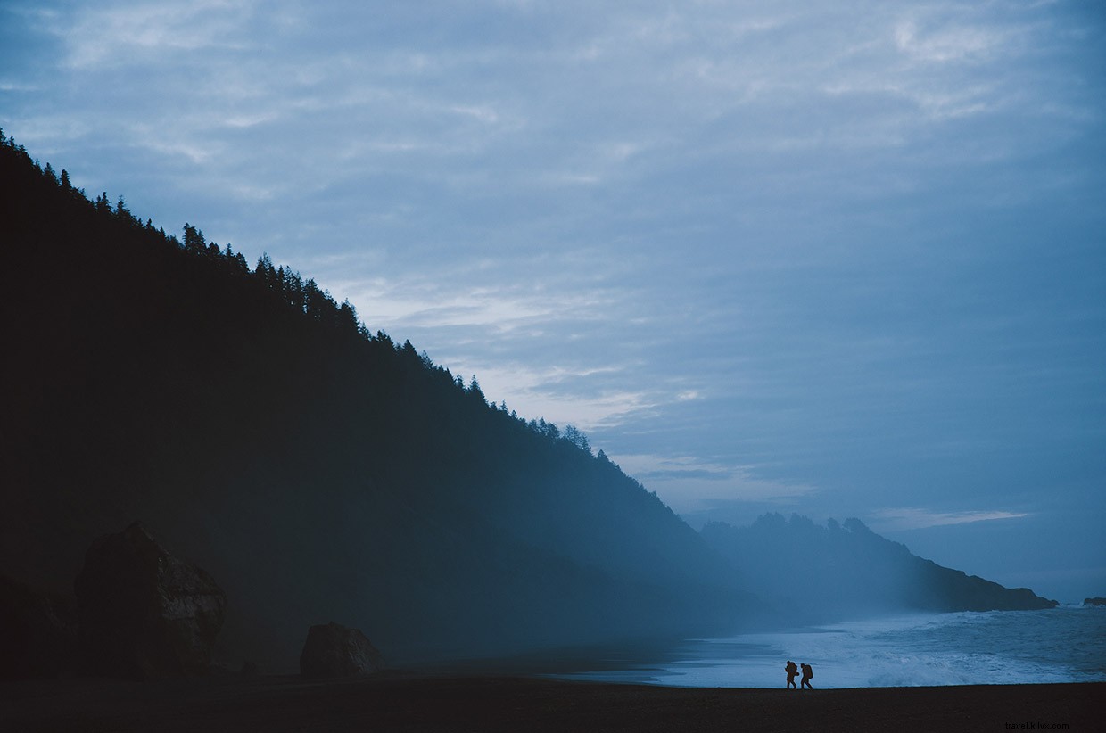 Nurturing Strong Foundations: The Power of Deeper Roots