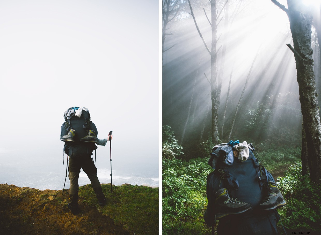 Nurturing Strong Foundations: The Power of Deeper Roots