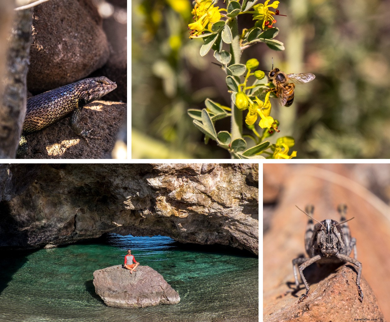 Kayaking Through Baja s Enchanting Islands