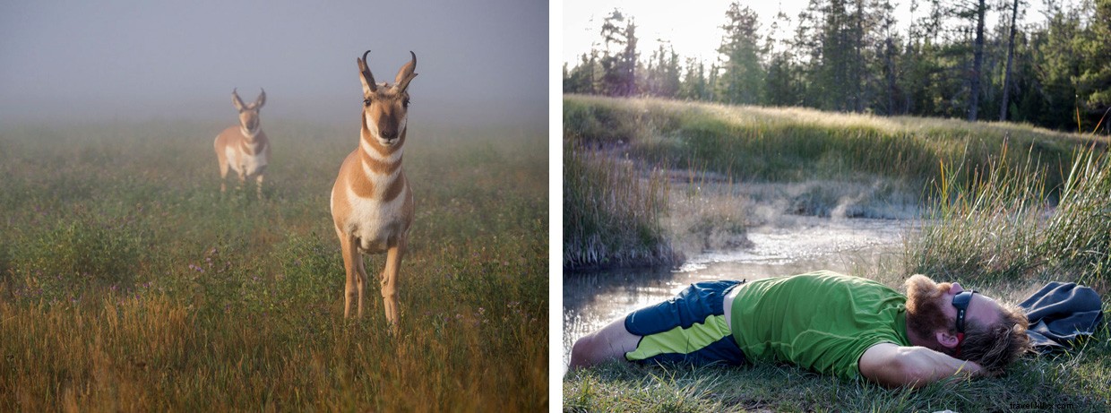 Megamoon: A 2,500‑Mile Mountain Bike Journey of Love and Adventure