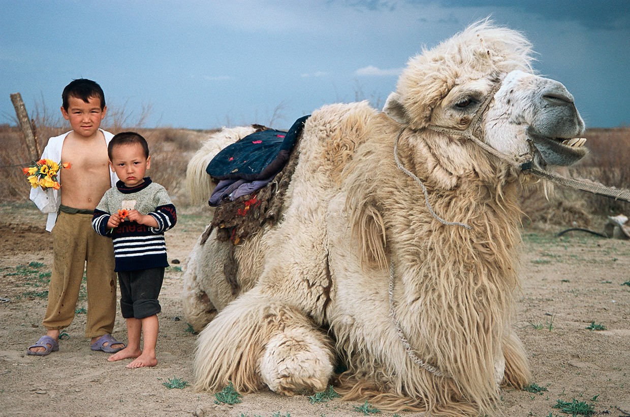 Exploring the Legacy of Genghis Khan Across Mongolia and Central Asia