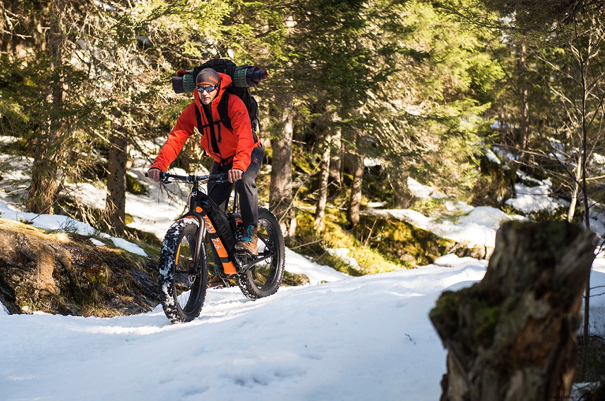 Beyond the Headlines: The True Story of a Historic Alpine Adventure