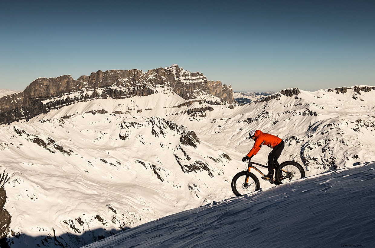 Beyond the Headlines: The True Story of a Historic Alpine Adventure