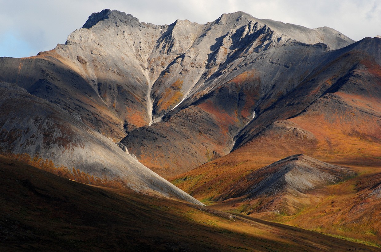 Explore Alaska’s Hidden Wilderness: Uncover the Untamed Tundra