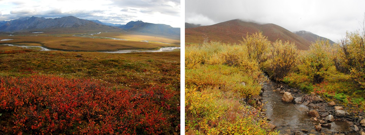 Explore Alaska’s Hidden Wilderness: Uncover the Untamed Tundra