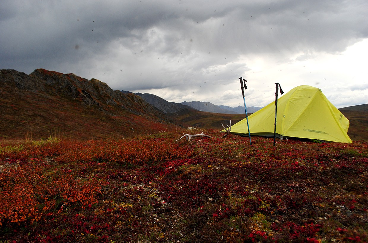 Explore Alaska’s Hidden Wilderness: Uncover the Untamed Tundra
