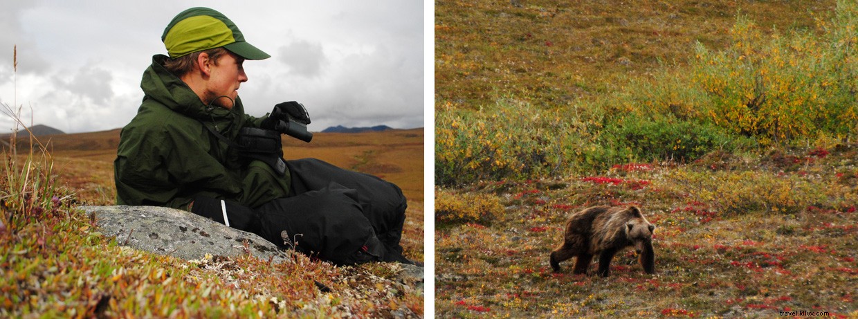 Explore Alaska’s Hidden Wilderness: Uncover the Untamed Tundra