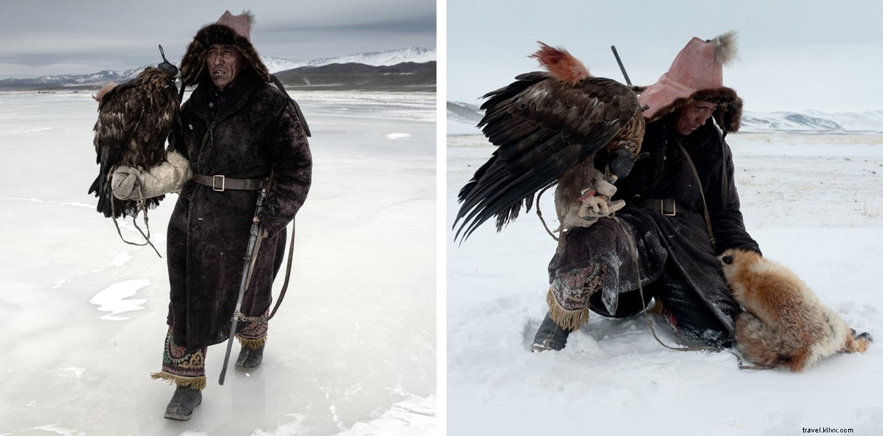 Winter Hunts: Golden Eagles Confront Wolves in Western Mongolia