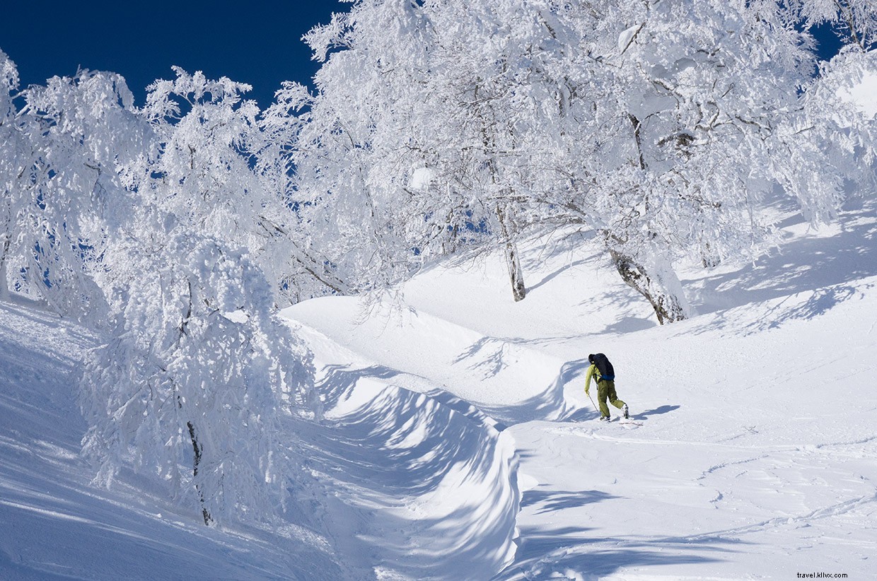 The Tao of Power: Lessons from Japan’s Winter Hot Springs