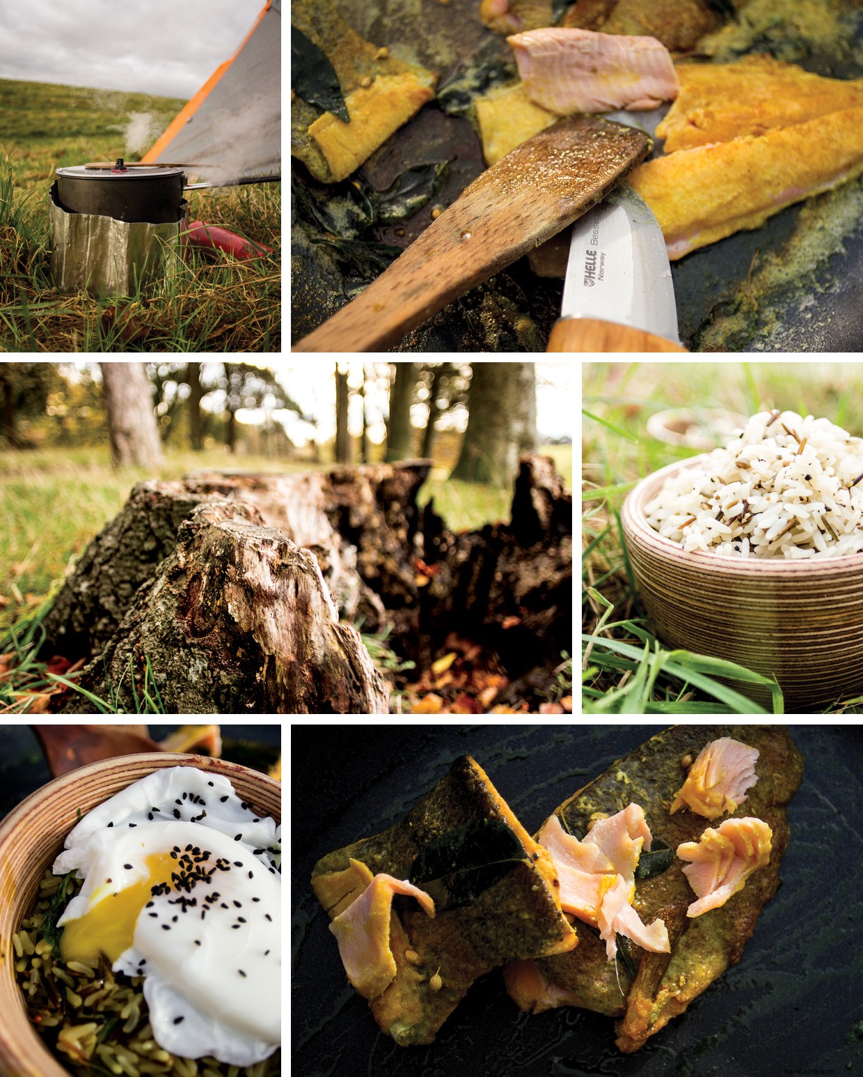 Discover the Scenic Scottish Lowlands: Nature, Adventure, and Culinary Delights