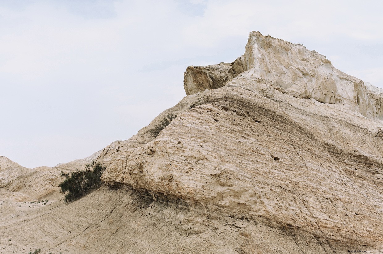 Surviving the Kazakh Desert: One Traveler s Fight for Survival