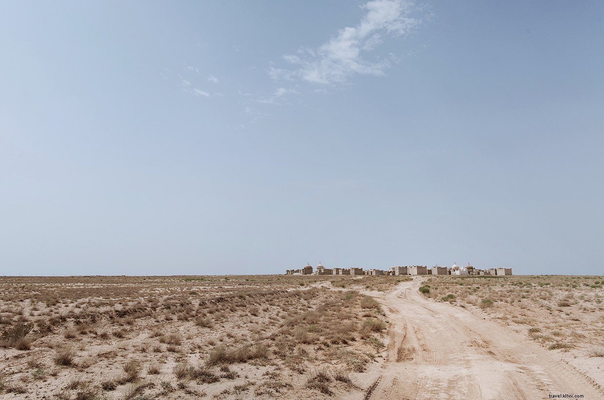 Surviving the Kazakh Desert: One Traveler s Fight for Survival