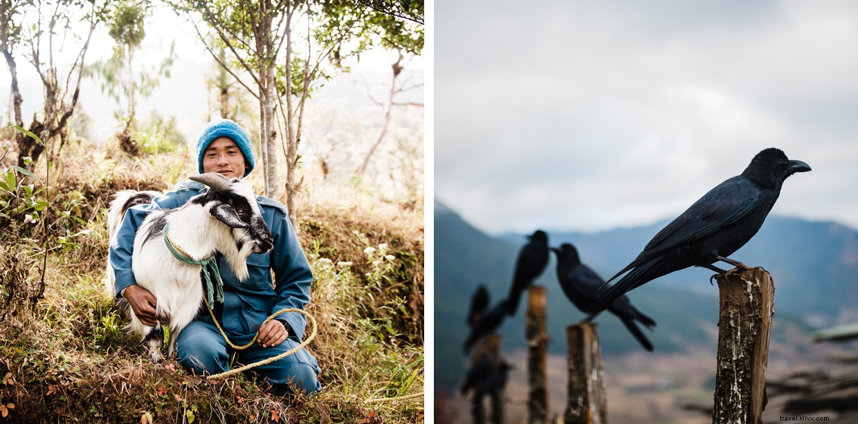 Exploring the Himalayan Backcountry: A Trekker s Guide to Altitude and Snow