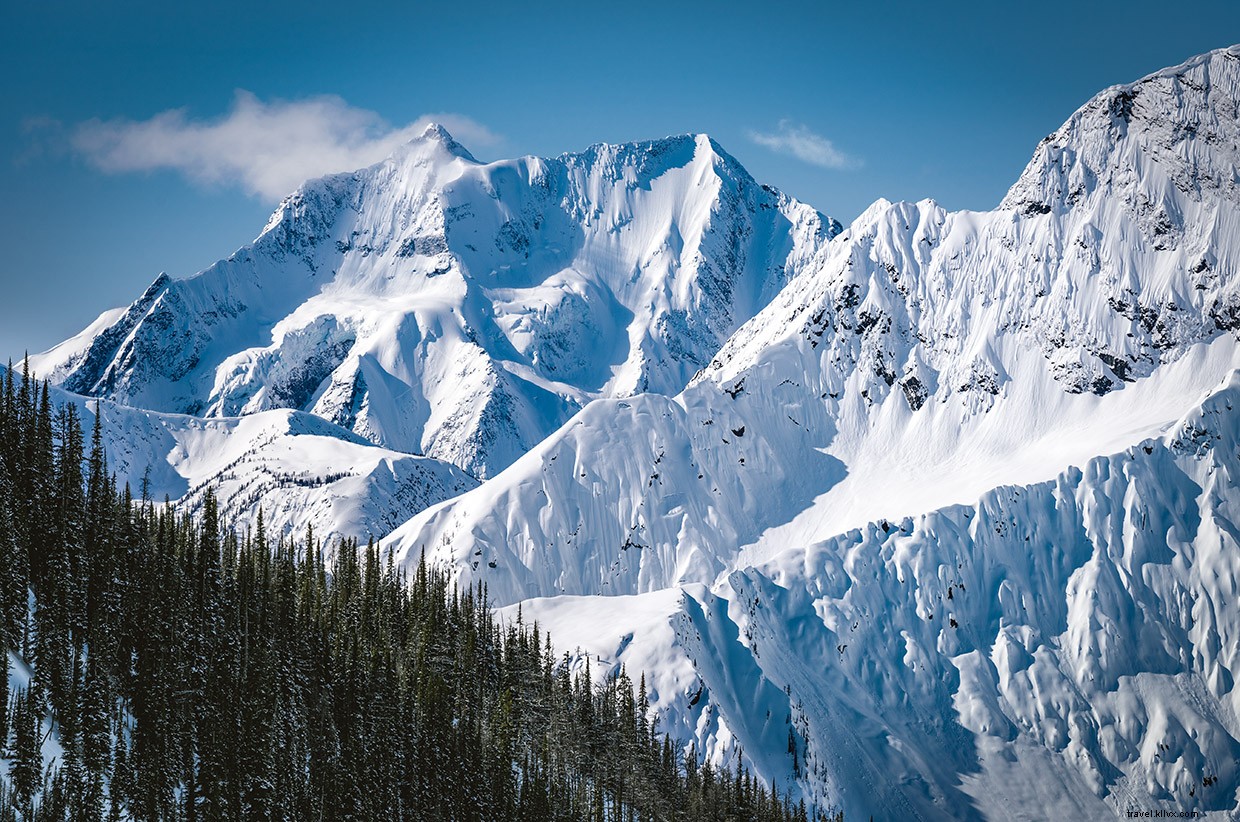 Jumbo Valley: Protecting BC s Pristine Grizzly Habitat