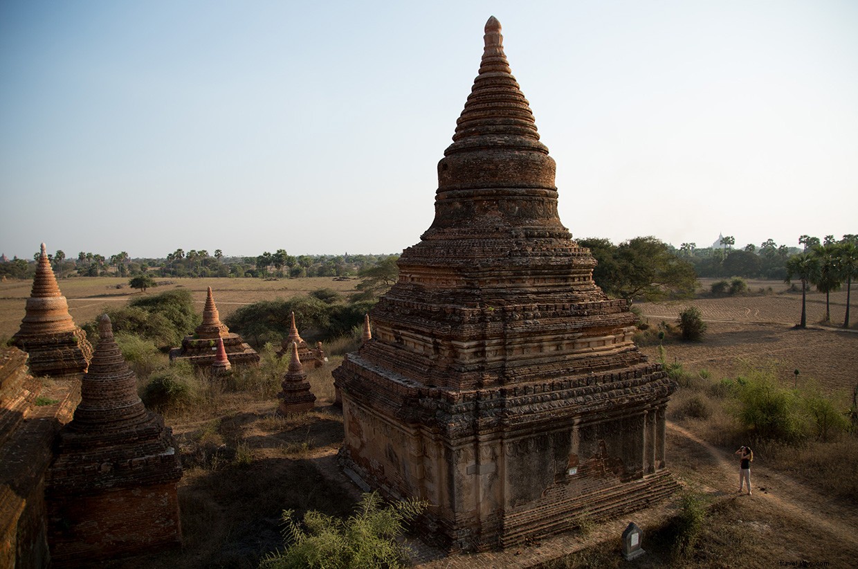 Unveiling Borneo s Secrets: A Deep Dive into the Rainforest and the Quest for Ora
