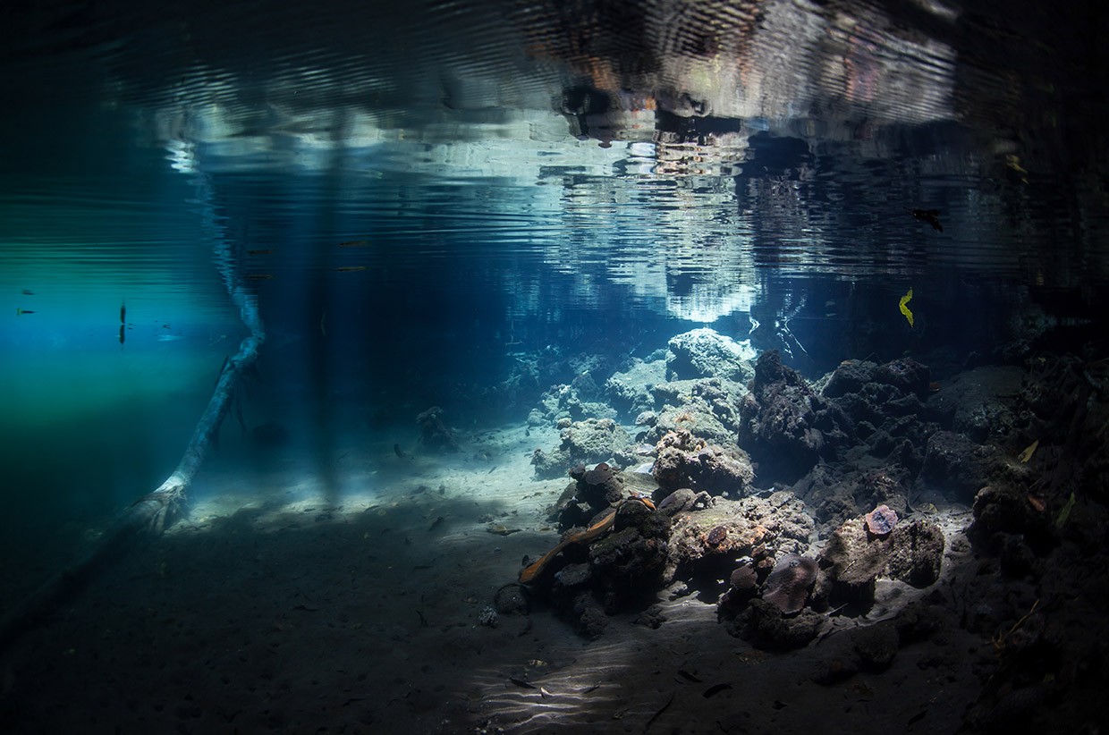 Exploring the Hidden Depths: A Diver’s Journey into Indonesia’s Remote Marine Lake