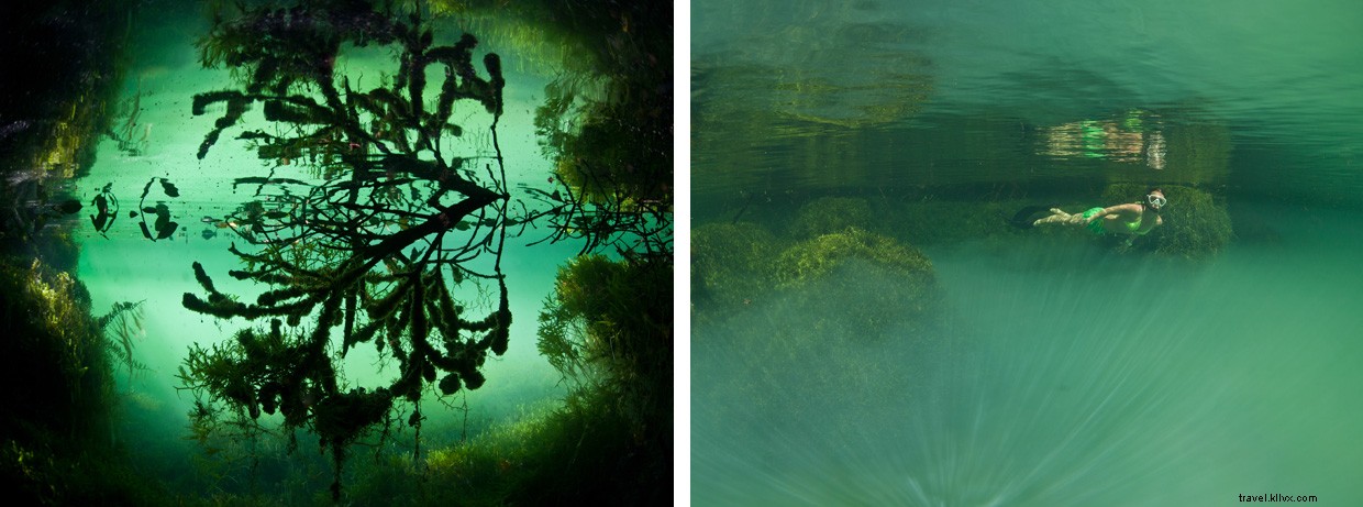 Exploring the Hidden Depths: A Diver’s Journey into Indonesia’s Remote Marine Lake