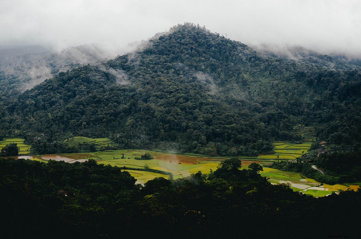 Heat Exhaustion at Bus Shelters: A Real-Life Account