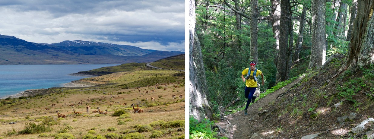 Patagonia Trek: 60-Mile Torres del Paine Expedition