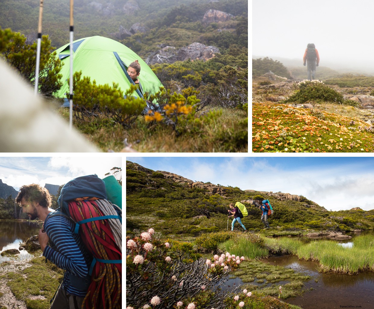 The Book of Laughter and Forgetting: A Journey Through Memory and Tasmania s Hidden Pool