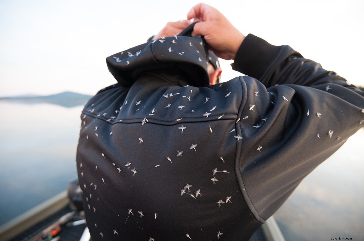 Oregon s High Desert: The Flow of Life Through Water and Volcanoes